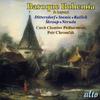 Baroque Bohemia and Beyond vol.5