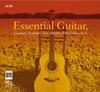 Essential Guitar