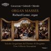 Organ Masses