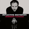 Reflecting Beethoven