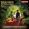 Brahms & Contemporaries Vol.2