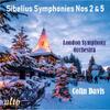 Sibelius - Symphonies 2 & 5