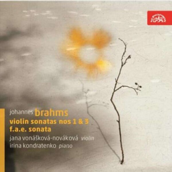 Brahms - Violin Sonatas Nos 1 & 3, FAE Sonata