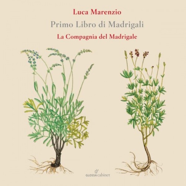 Marenzio - Primo Libro di Madrigali (Madrigals, Book 1)