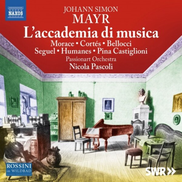 Mayr - L�accademia di musica | Naxos - Opera 8660511