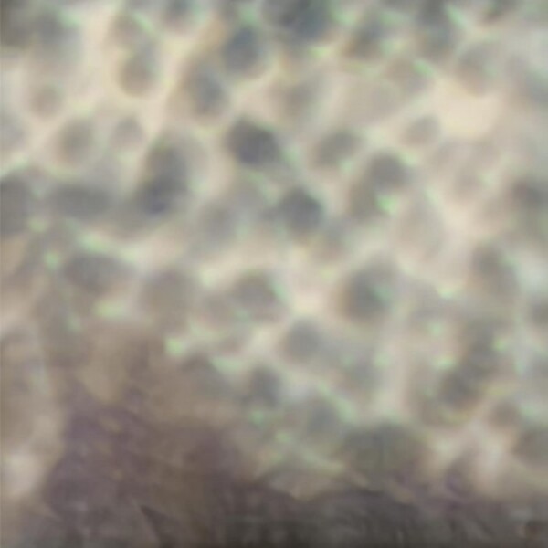 Cipa - Ourselves, as we are | Warner 5419727437