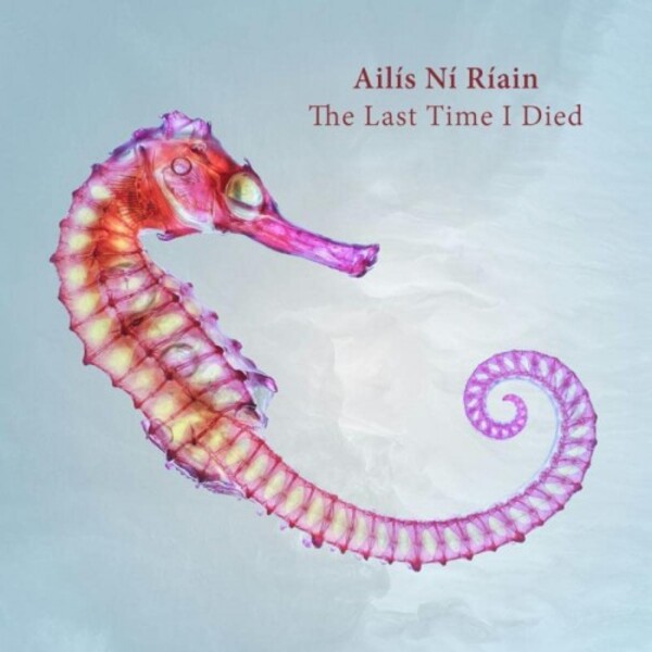 Riain - The Last Time I Died | NMC Recordings NMCD270