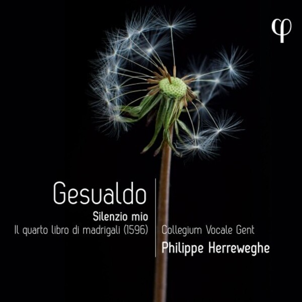 Gesualdo - Silenzio mio: Fourth Book of Madrigals | Phi LPH043