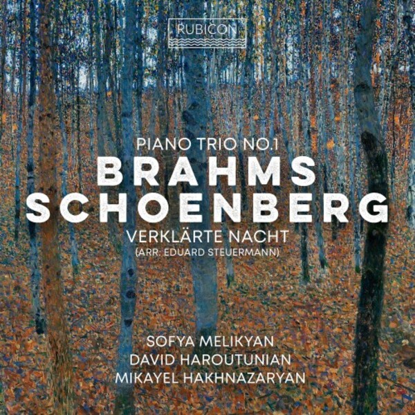 Brahms - Piano Trio no.1; Schoenberg - Verklarte Nacht (arr. Steuermann)